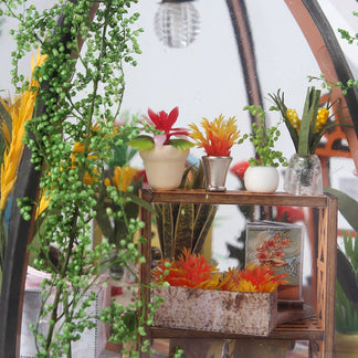 Starry Garden DIY miniature house kit bookshelf or desk display